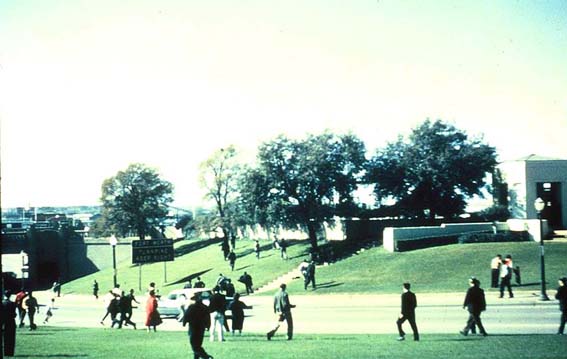 Wide Shot of Grassy Knoll